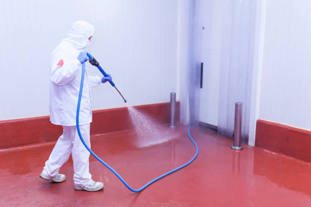 Best Driveway Pressure Washing  in Crescent City, FL