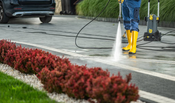 Best Animal Enclosure Cleaning  in Crescent City, FL